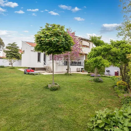 Beautiful In With Kitchen *