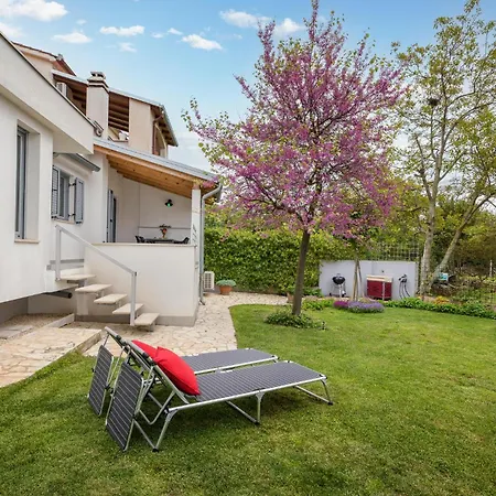 Beautiful In With Kitchen